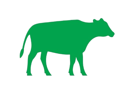 Manejo de animais